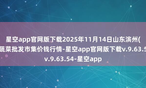 星空app官网版下载2025年11月14日山东滨州(六街)鲁北蔬菜批发市集价钱行情-星空app官网版下载v.9.63.54-星空app