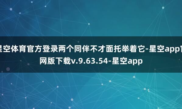 星空体育官方登录两个同伴不才面托举着它-星空app官网版下载v.9.63.54-星空app