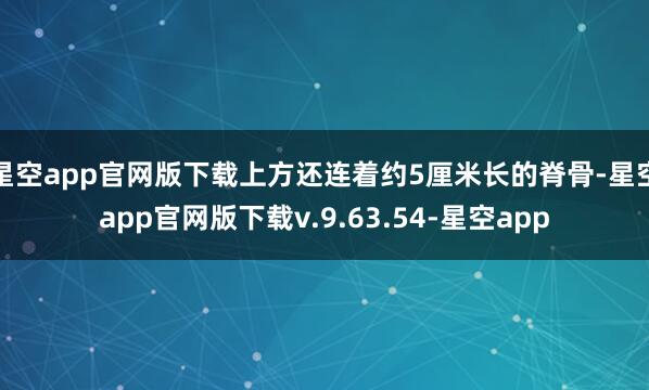 星空app官网版下载上方还连着约5厘米长的脊骨-星空app官网版下载v.9.63.54-星空app